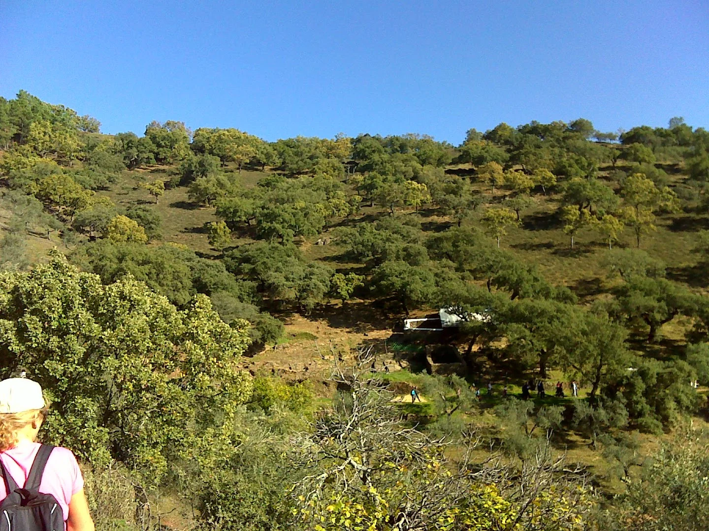 Foto 5 de Inicio Sendero Pico Bonales