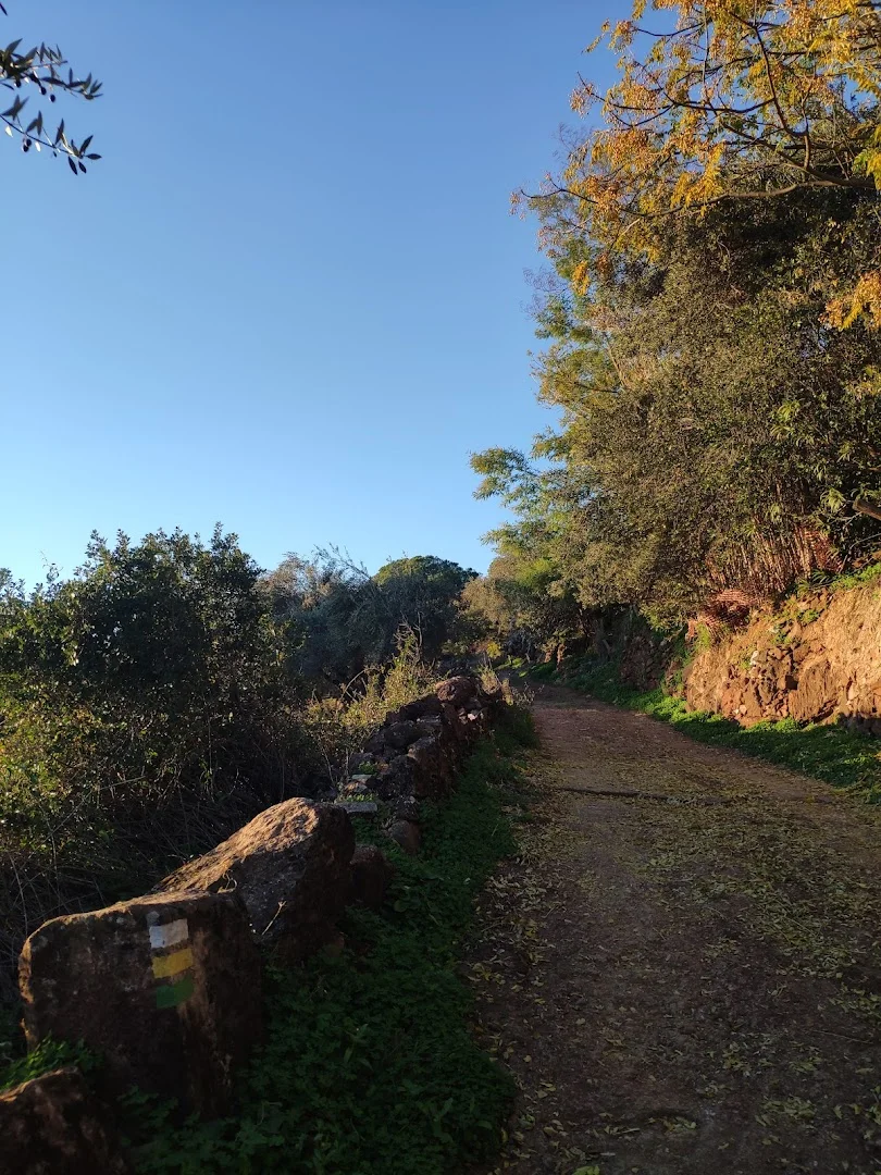 Foto 4 de Inicio Sendero SL-A 376 "Sierra de Santa Barbara"