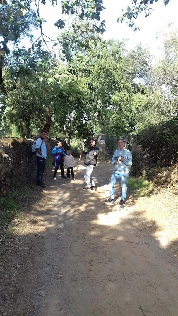 Foto 4 de Jamones Fuente del Robledo