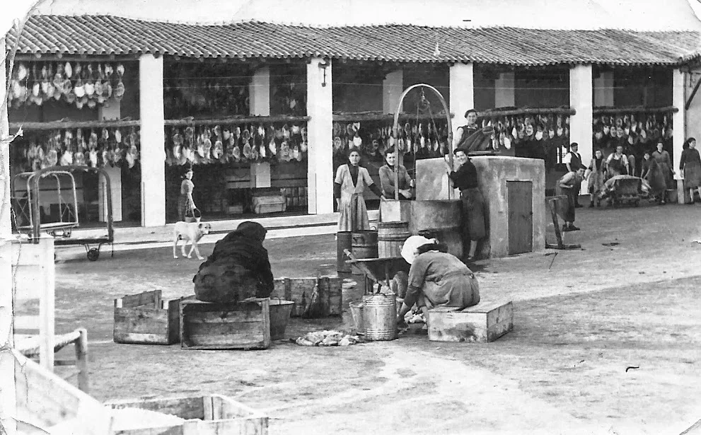 Jamones Ibéricos Coronado