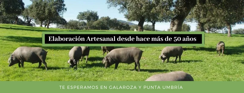 Foto 3 de Jamones y Embutidos Sucesores de Rafael Fernández S.L.