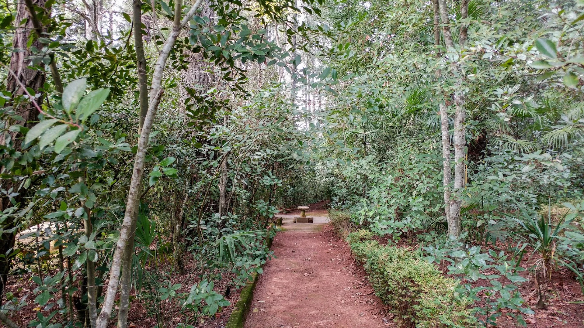 Foto 4 de Jardín Botánico Villa Onuba