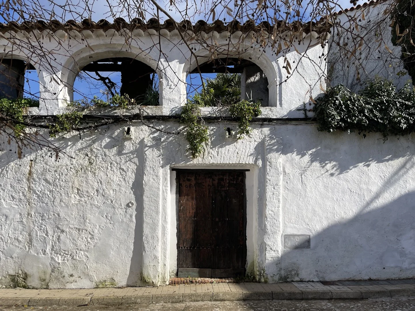 Las Guindas