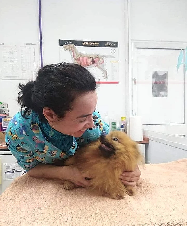 LaVida Vet. Consulta Veterinaria Especialista en Pequeños Animales y Exóticos