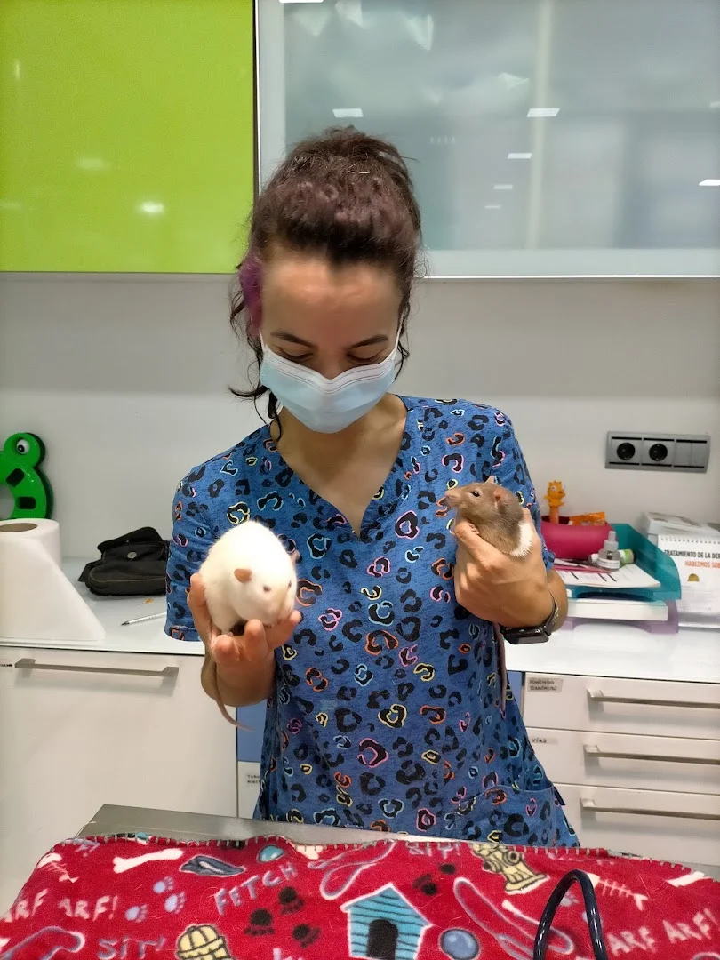 Foto 3 de LaVida Vet. Consulta Veterinaria Especialista en Pequeños Animales y Exóticos