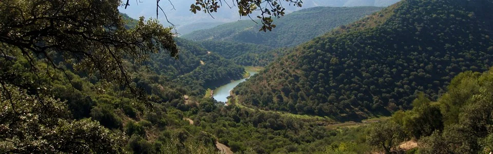 Lynxaia - Ecoturismo y Turismo Patrimonial