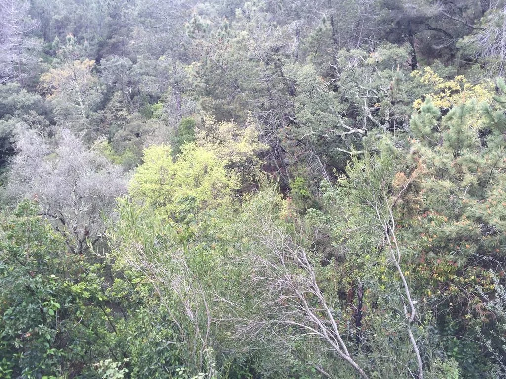 Foto 5 de Mirador Camino Llano