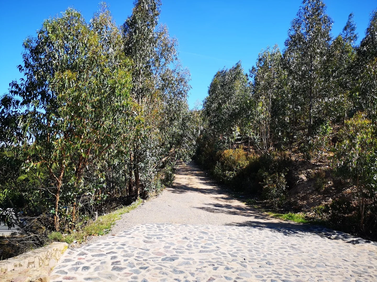 Foto 5 de Mirador de Castañuelo