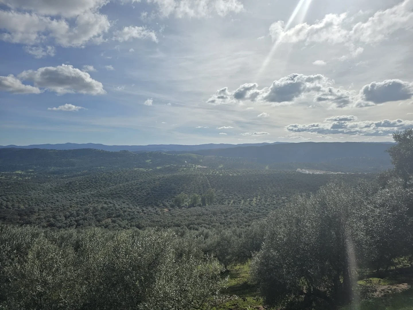 Mirador de El Puerto