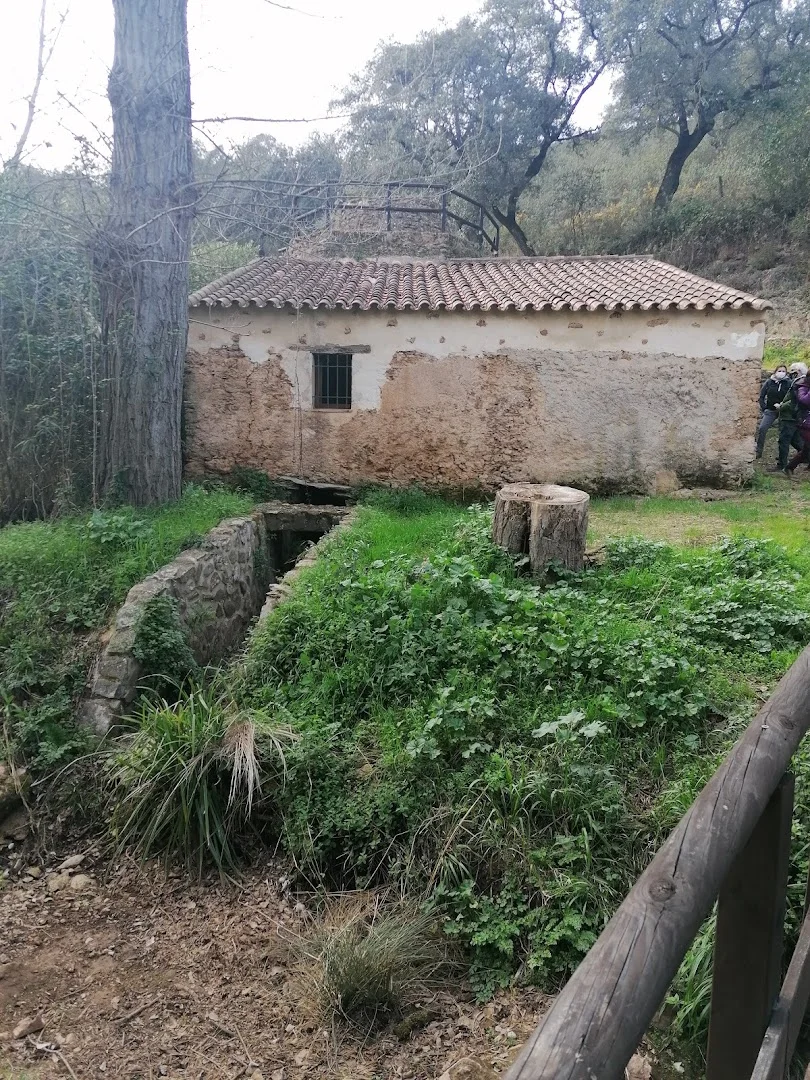 Molino de Rodezno "Tolete"
