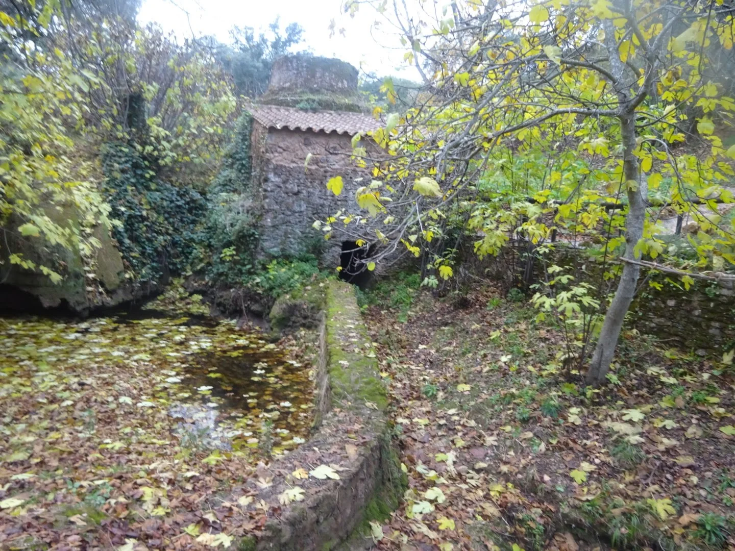 Foto 4 de Molino de Rodezno "Tolete"