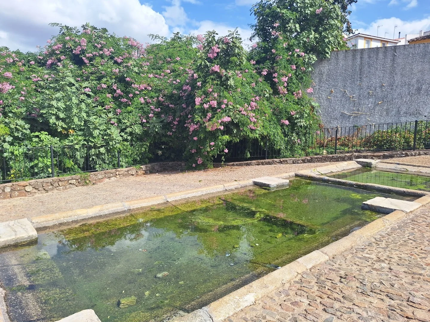 Foto 5 de Nacimiento del Río Chanza