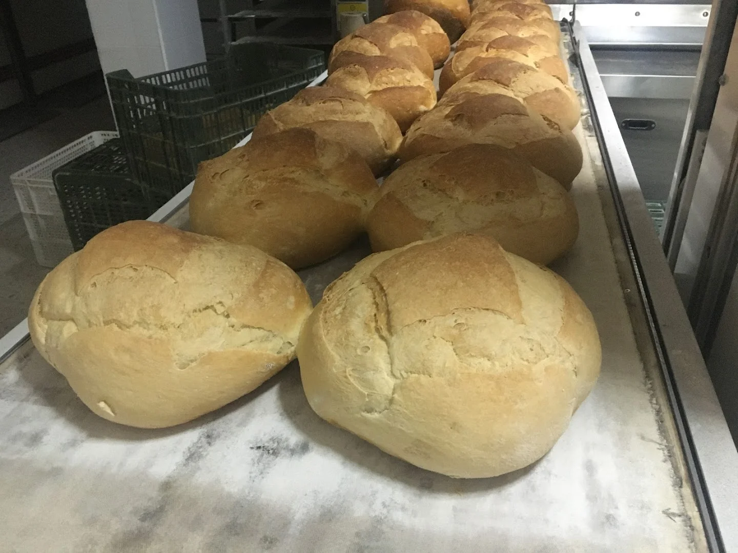 Foto 3 de Panadería El Prado S L