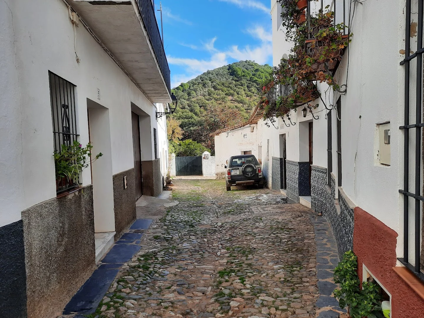 Panadería Linares de la Sierra