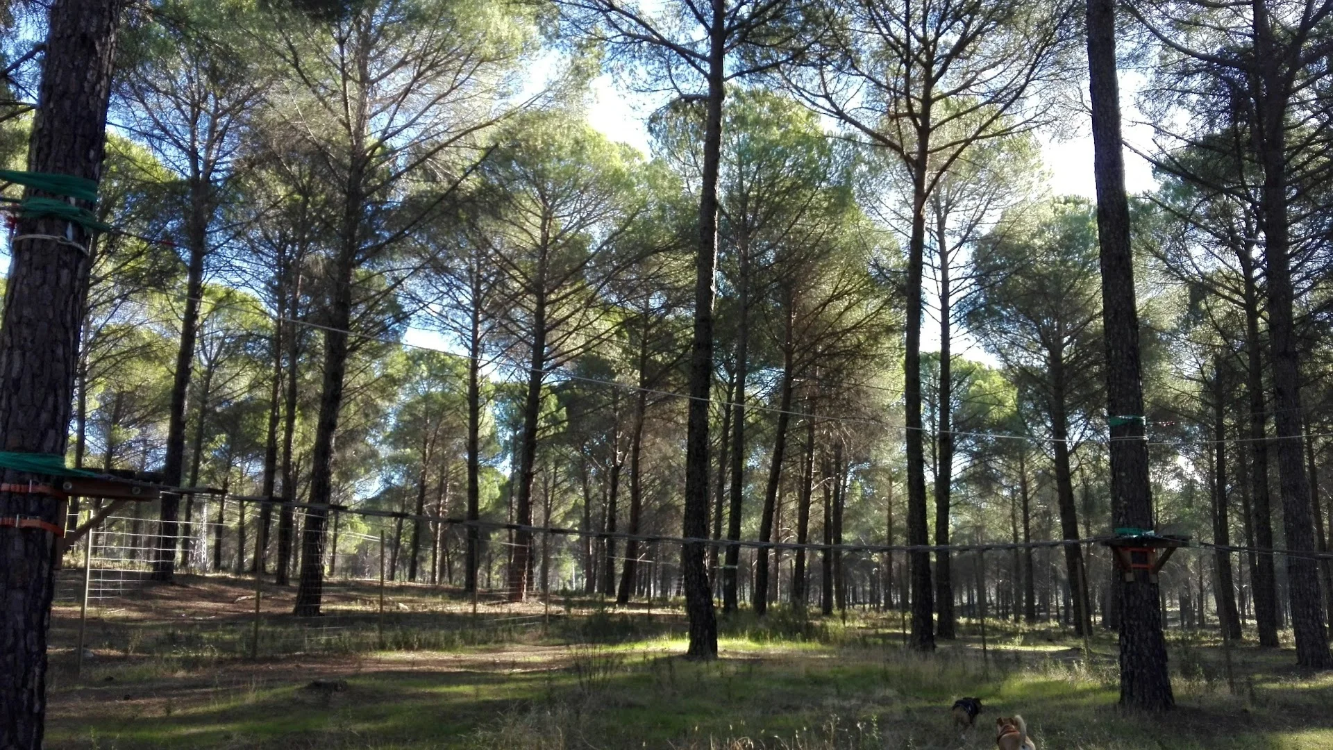 Foto 5 de Parque de Aventura Alcornoquellano