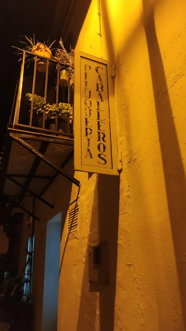 Foto 3 de Peluquería de Blas