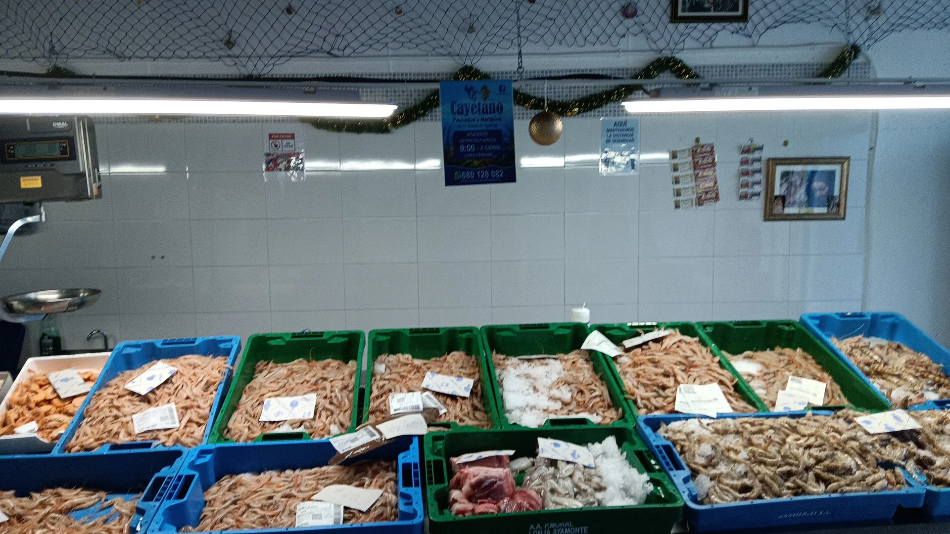 Foto 4 de Pescadería Cayetano