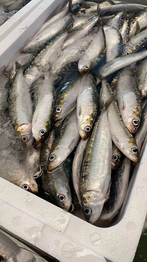Foto 5 de Pescadería Cayetano