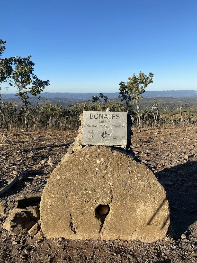 Pico Bonales