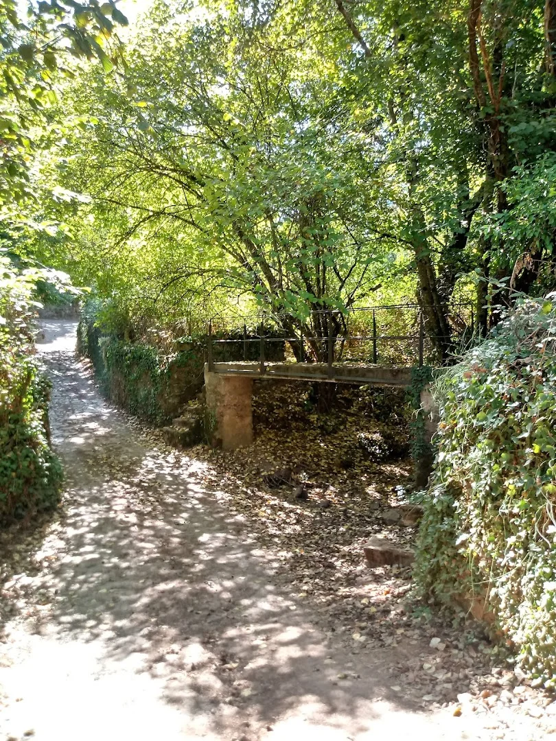 Foto 3 de Pino De La Atalaya