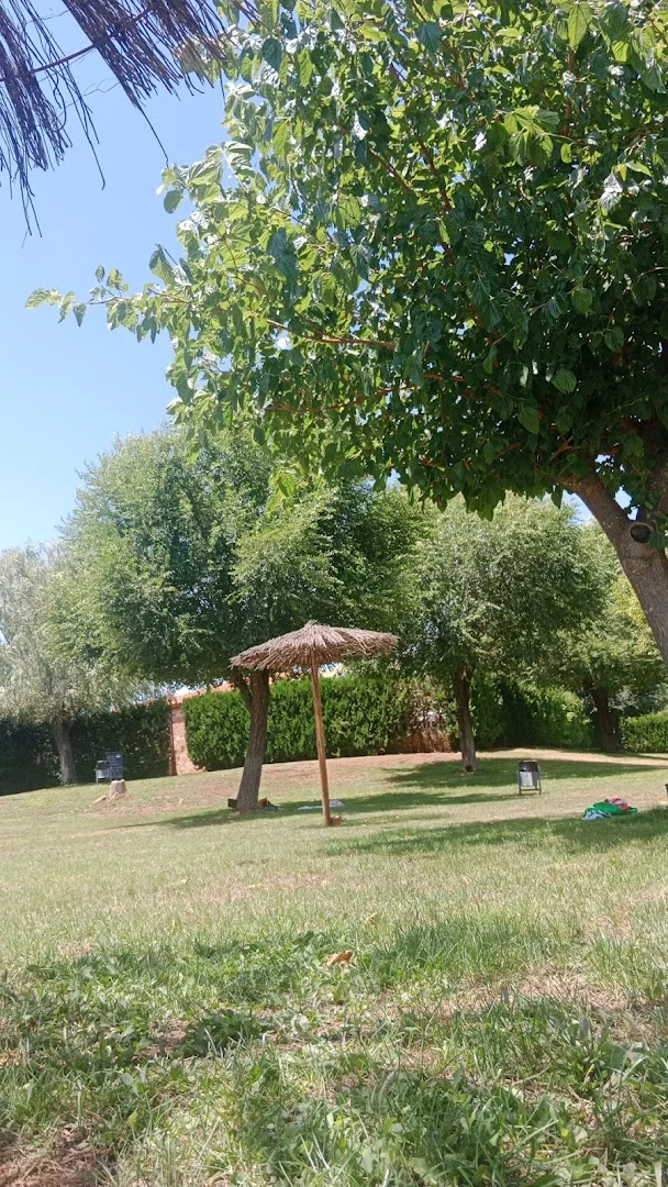 Foto 5 de Piscina Municipal