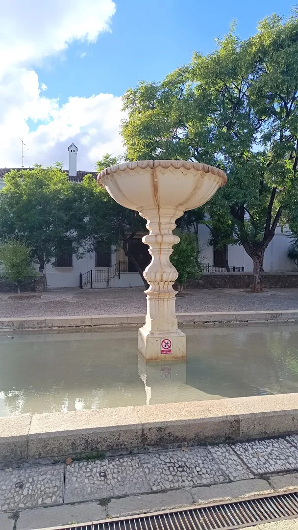 Foto 3 de Plaza de Doña Elvira