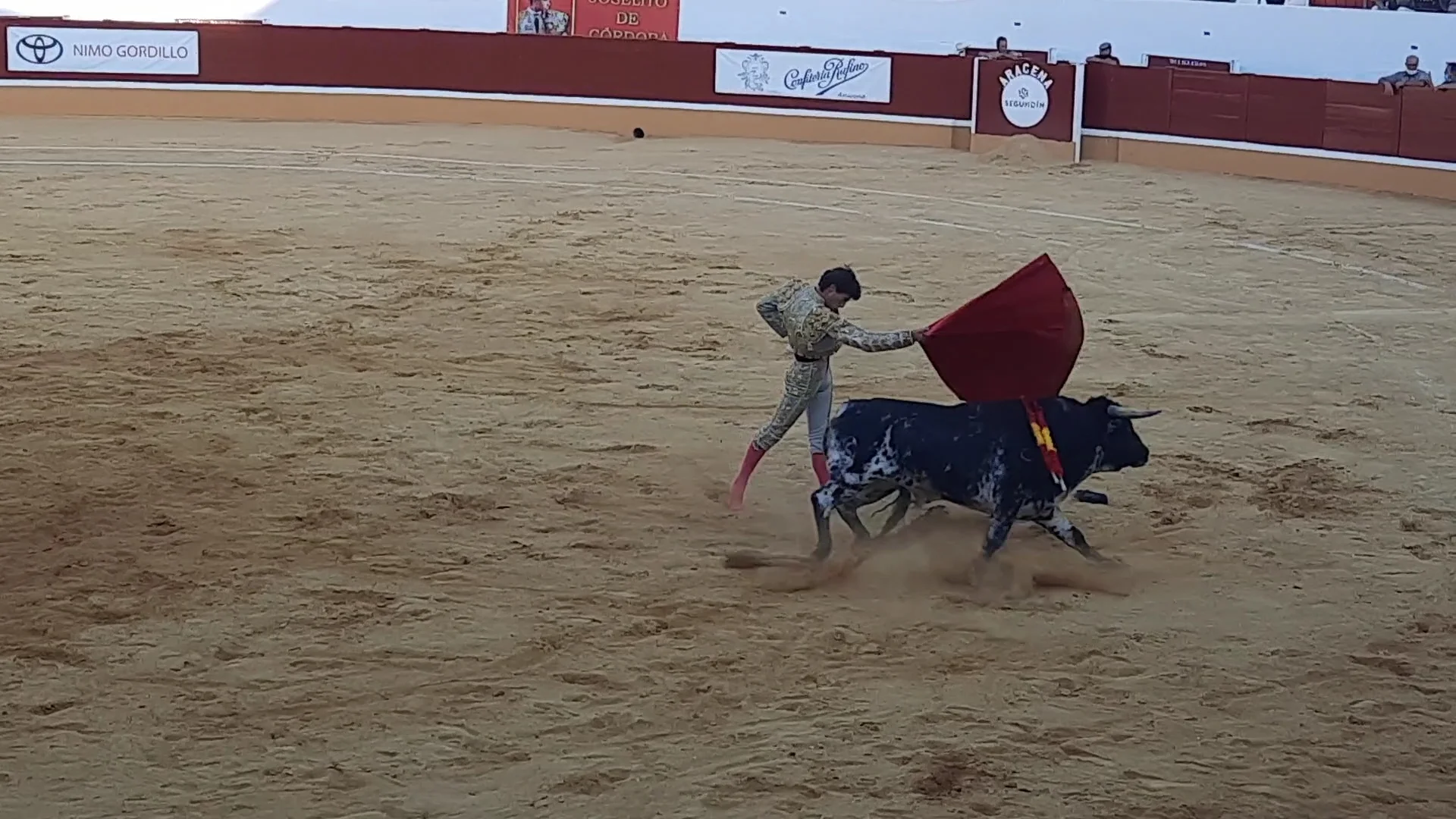 Foto 5 de Plaza de Toros de Aracena
