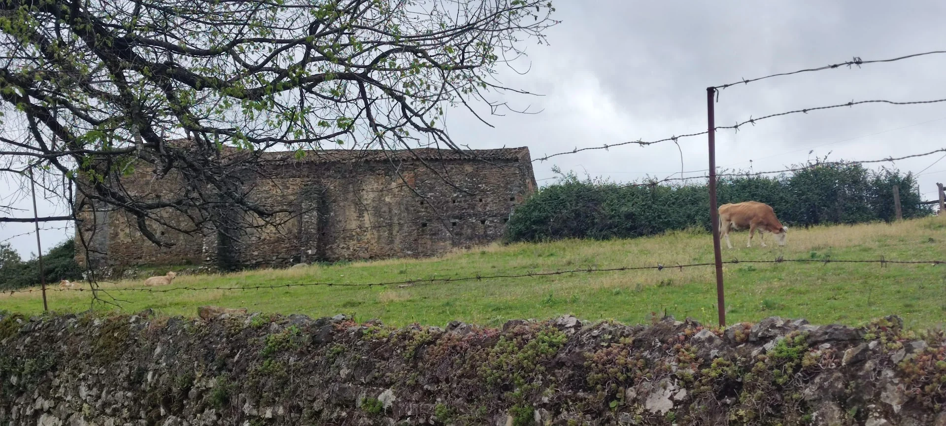 Foto 5 de Polideportivo Municipal San Jerónimo