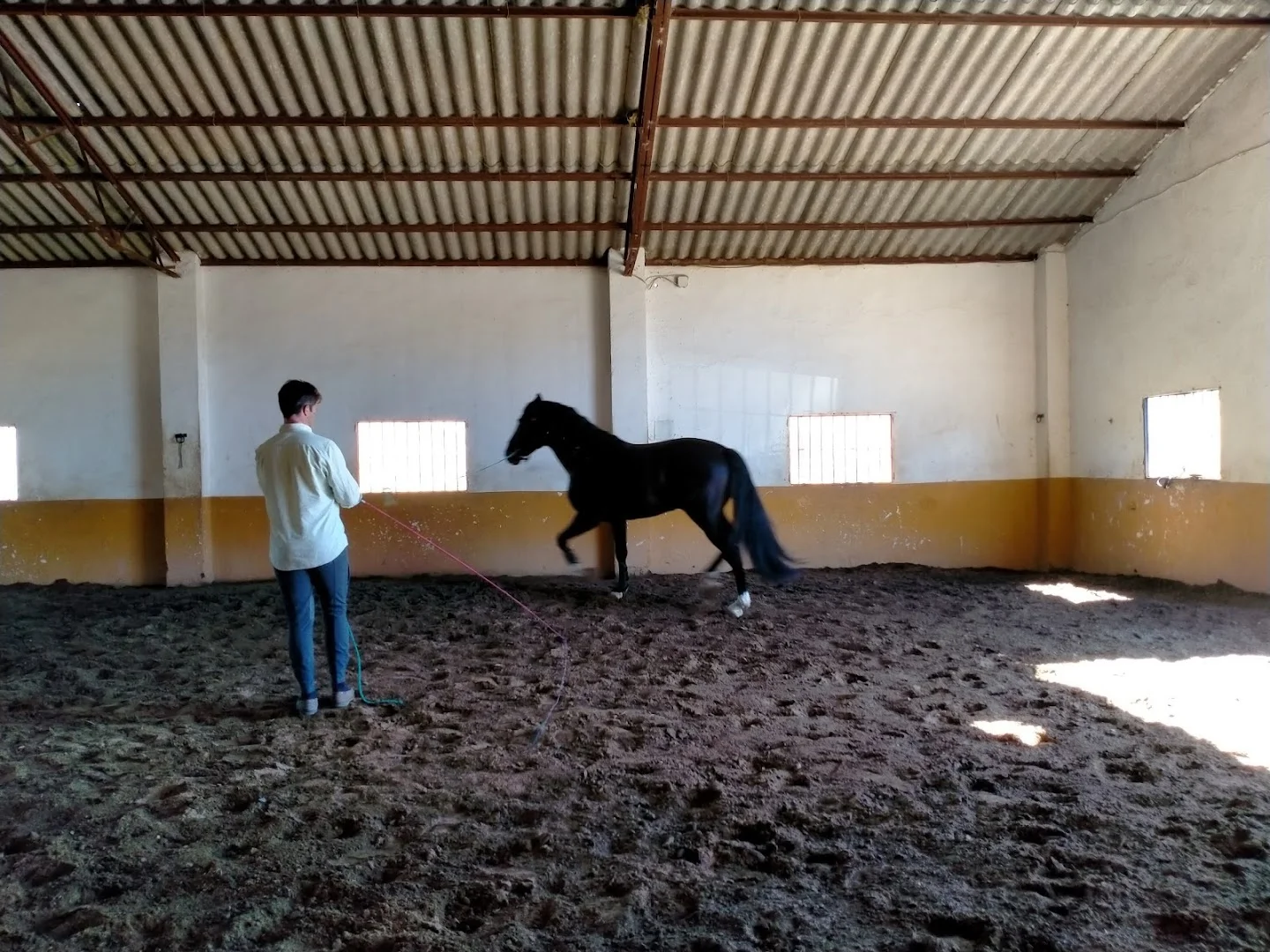 Potros Salaito