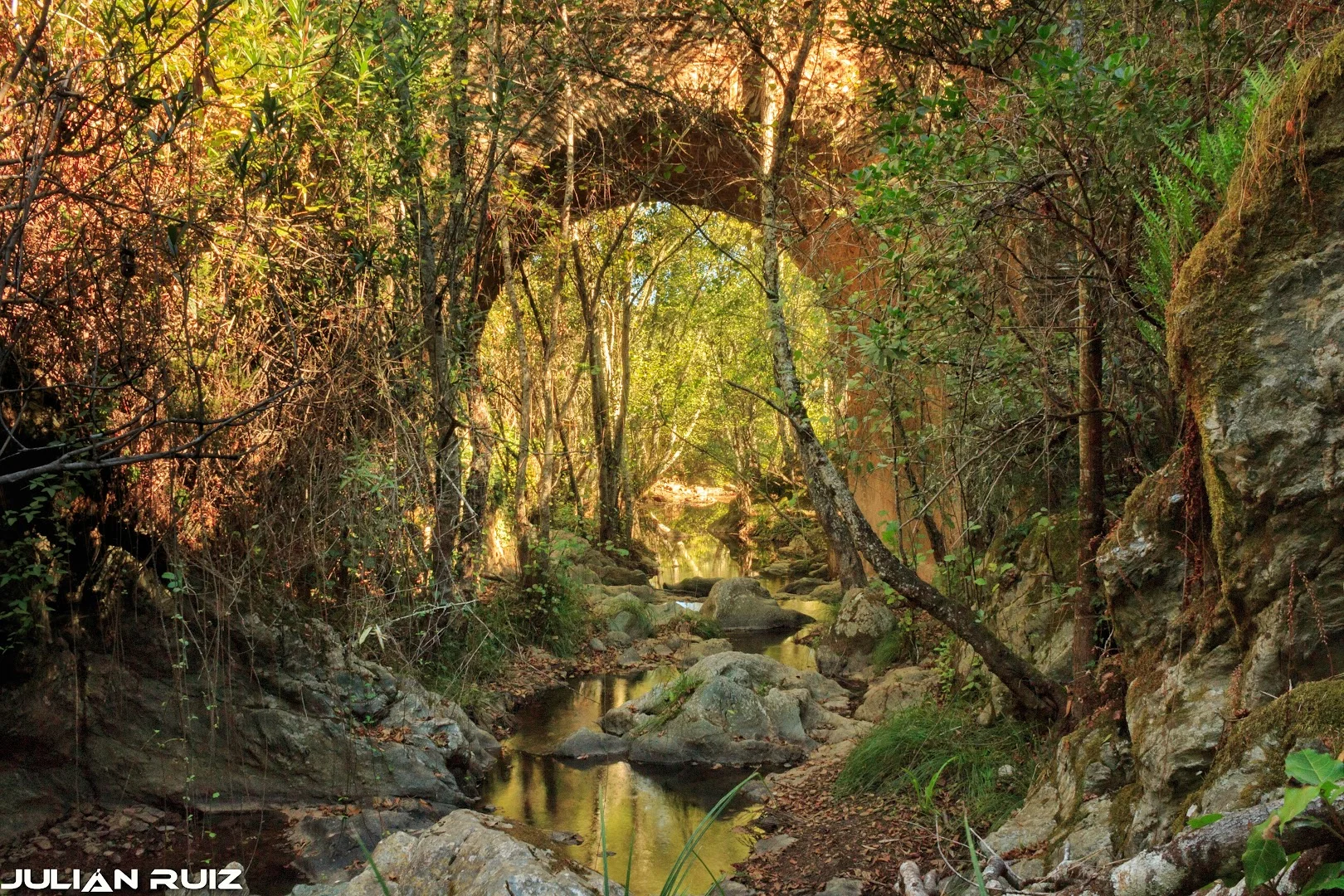 Puente Arroyo Guijarra