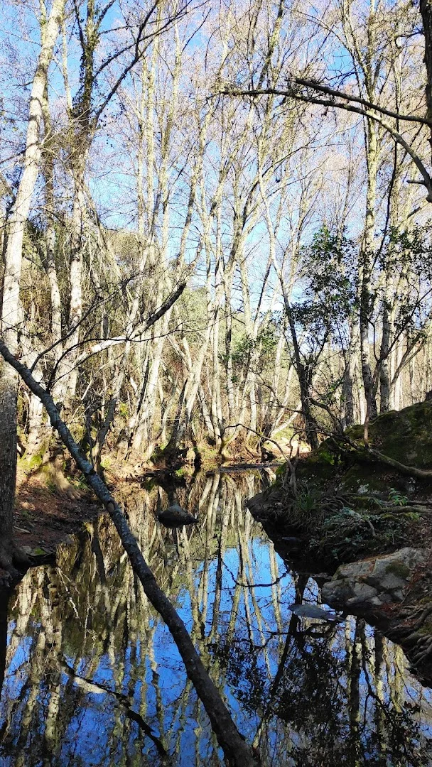 Foto 4 de Puente Arroyo Guijarra