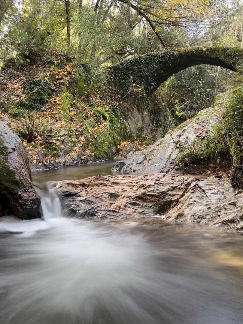 Foto 4 de Puente Medieval de La Nava