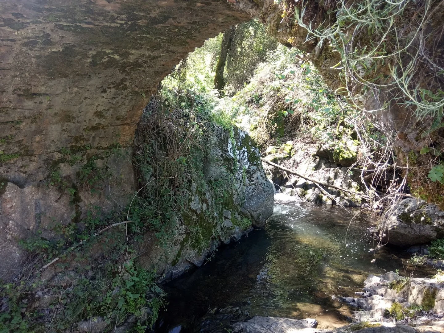 Foto 5 de Puente Medieval de La Nava