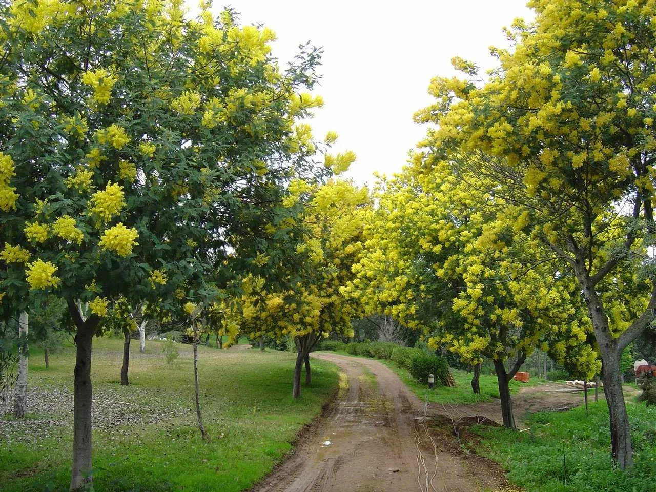 Foto 5 de Puerto Peñas - Turismo Rural