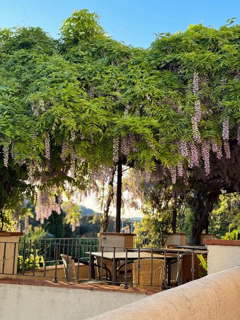 Foto 4 de Restaurante la Encina del Francés