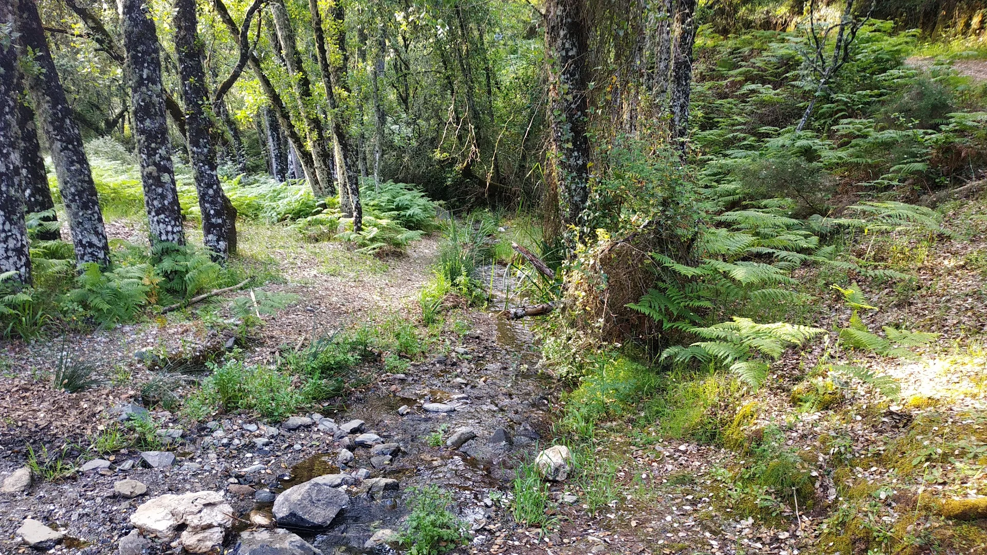 Senda Tierra Blanca