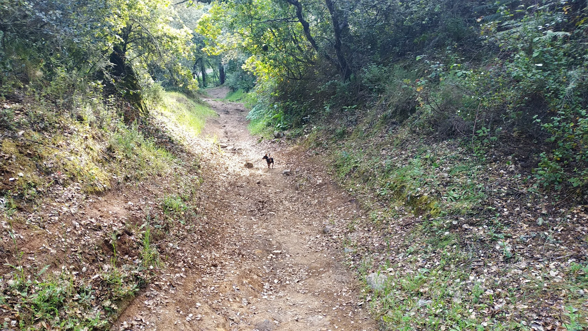 Foto 4 de Senda Tierra Blanca