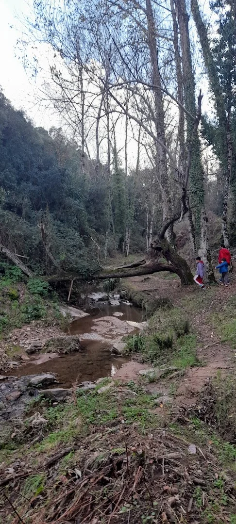 Foto 5 de Senda Tierra Blanca