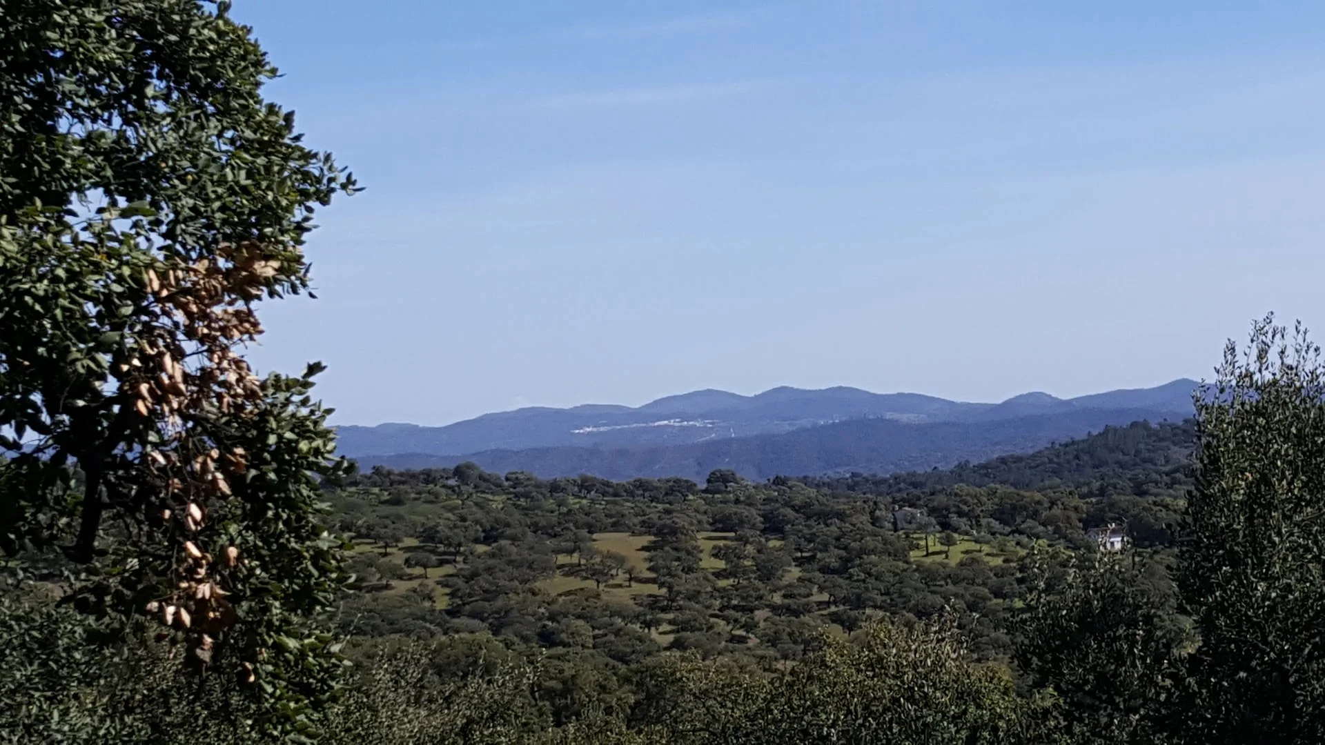 Sendero a Castaño del Robledo