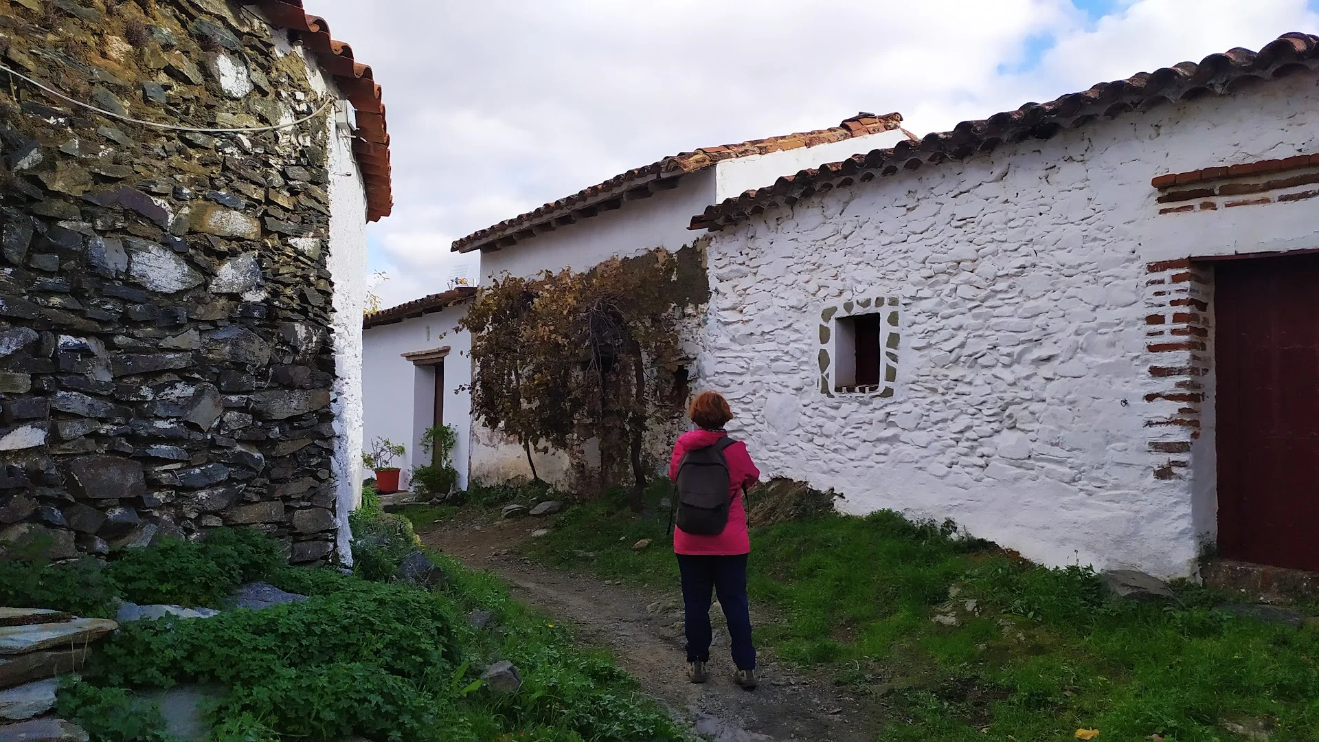 Foto 4 de Sendero a Castaño del Robledo