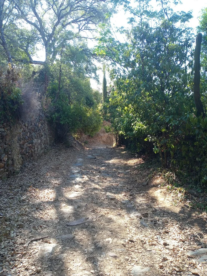 Foto 5 de Sendero a Castaño del Robledo
