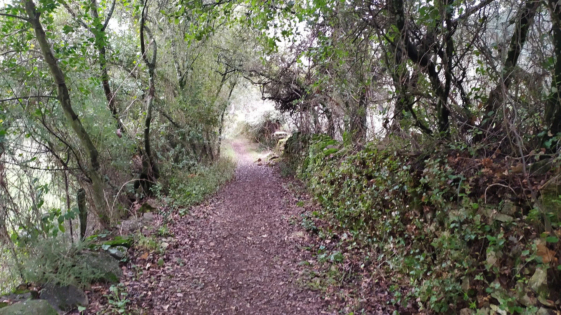 Sendero a Corteconcepción por Fuente del Rey