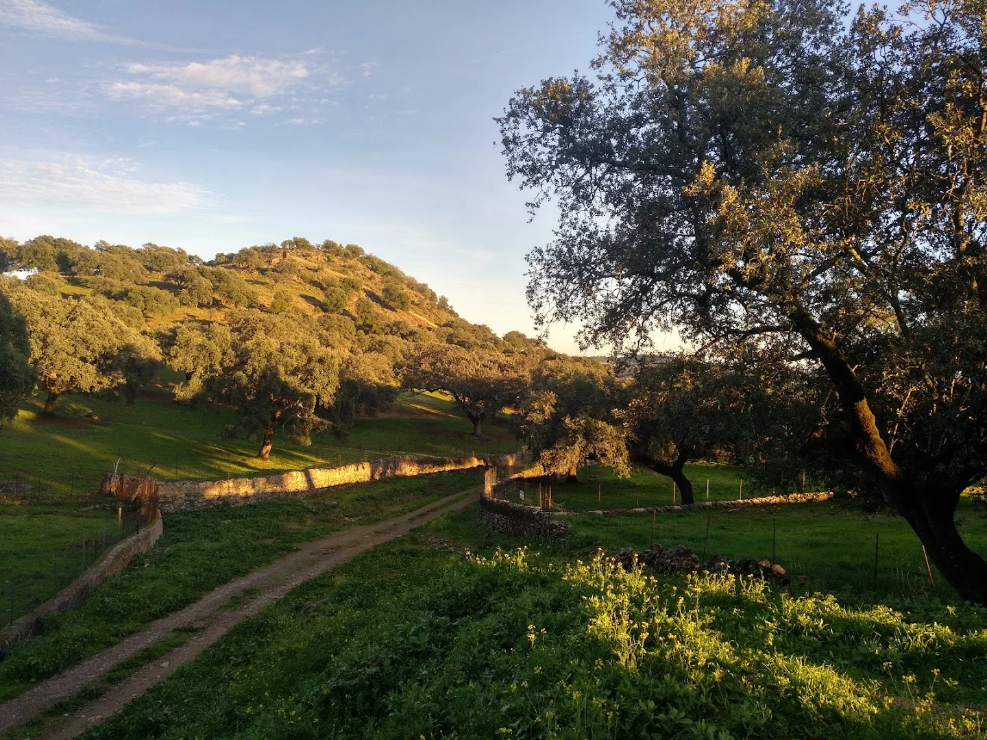Foto 4 de Sendero a Ermita de Santa Marina