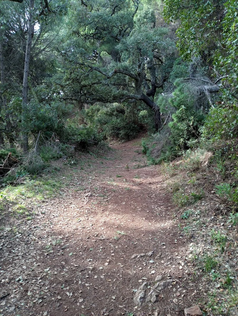 Foto 4 de Sendero a Fuenteheridos