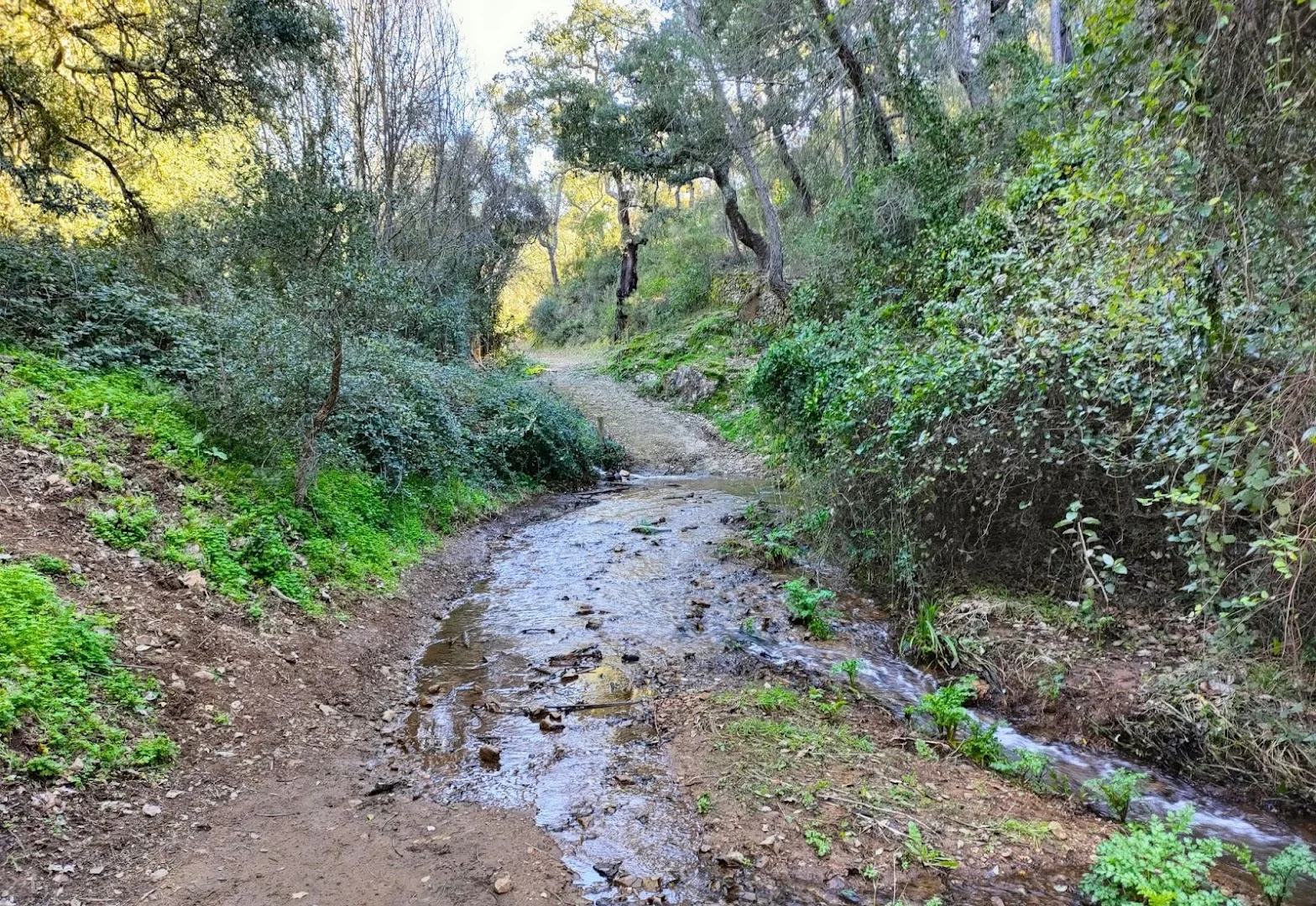 Sendero a Linares de la Sierra