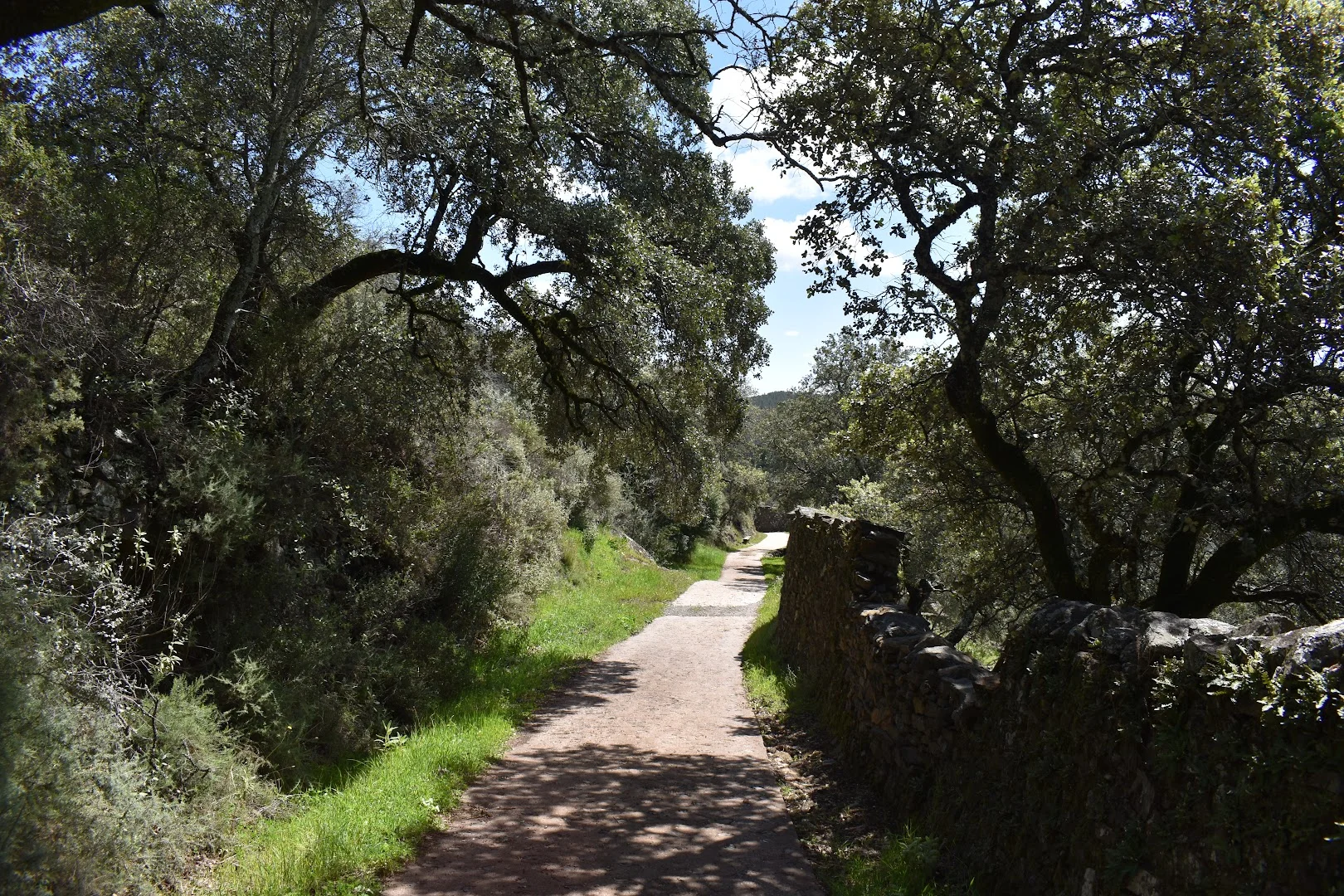 Sendero a Los Madroñeros