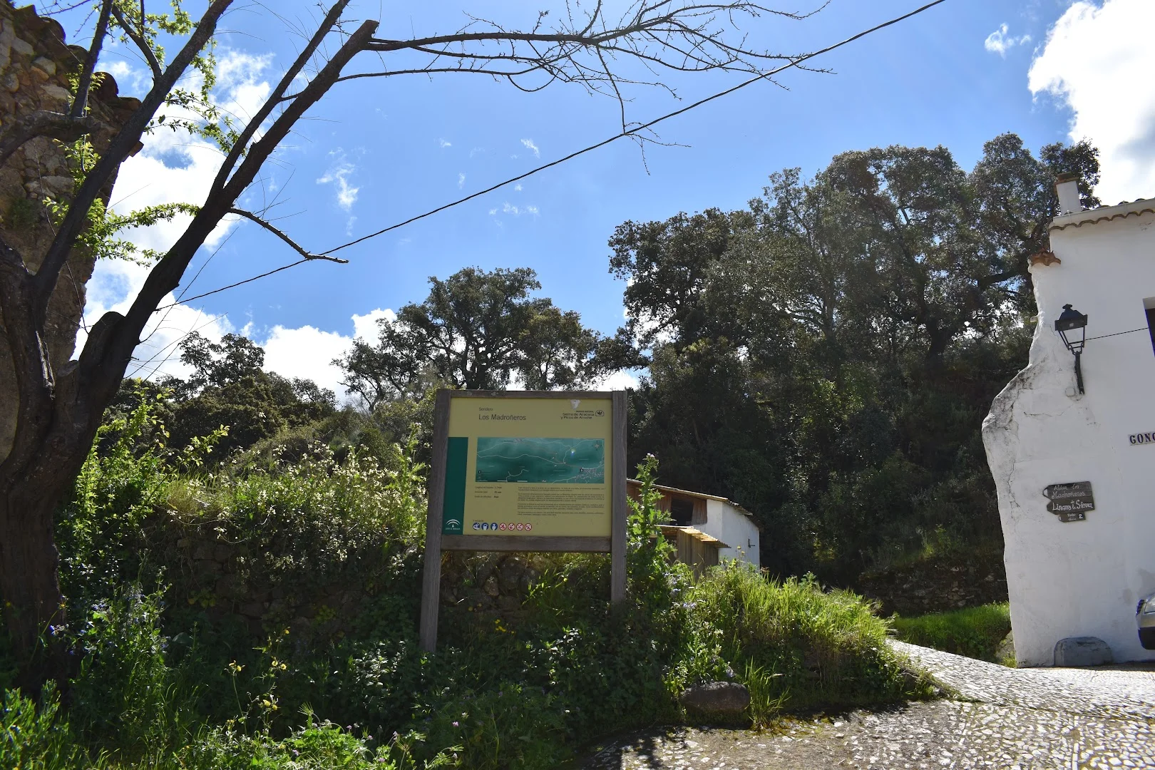 Foto 4 de Sendero a Los Madroñeros
