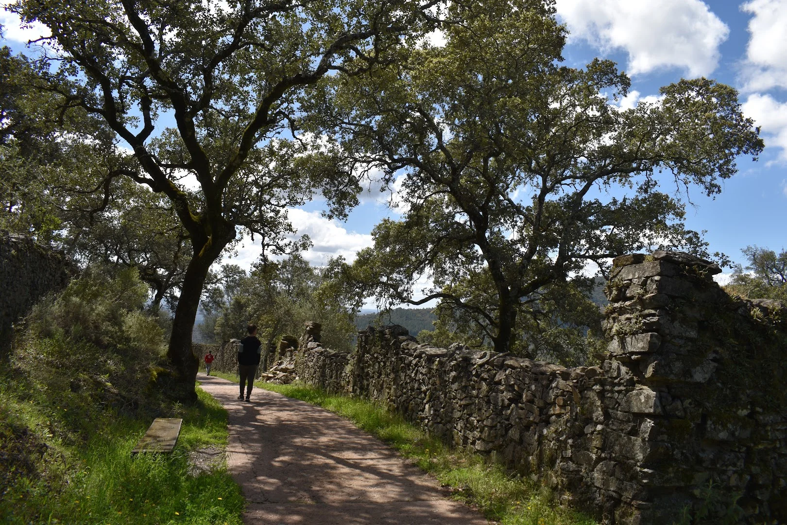 Foto 5 de Sendero a Los Madroñeros