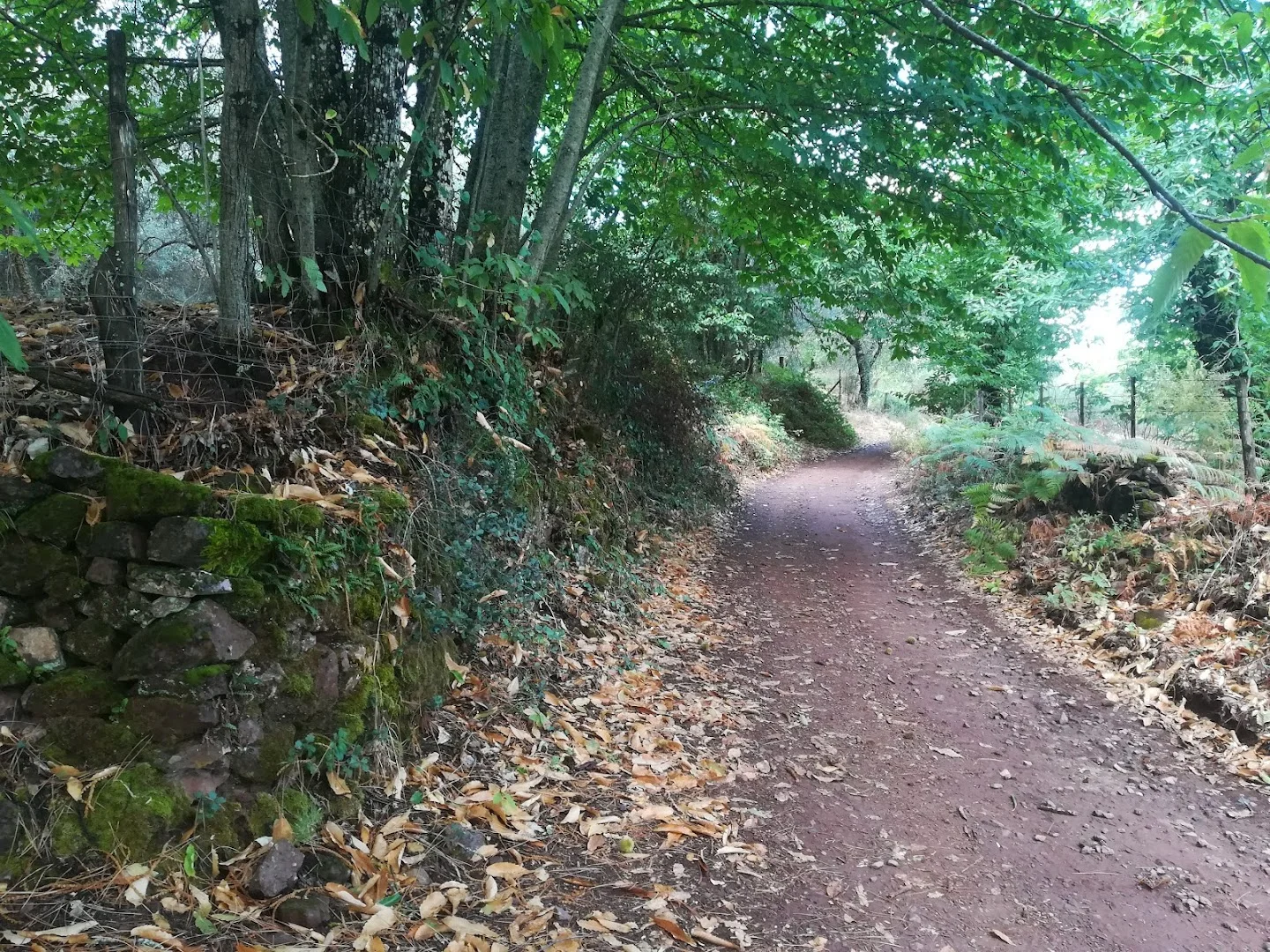 Sendero Aracena-Los Marines