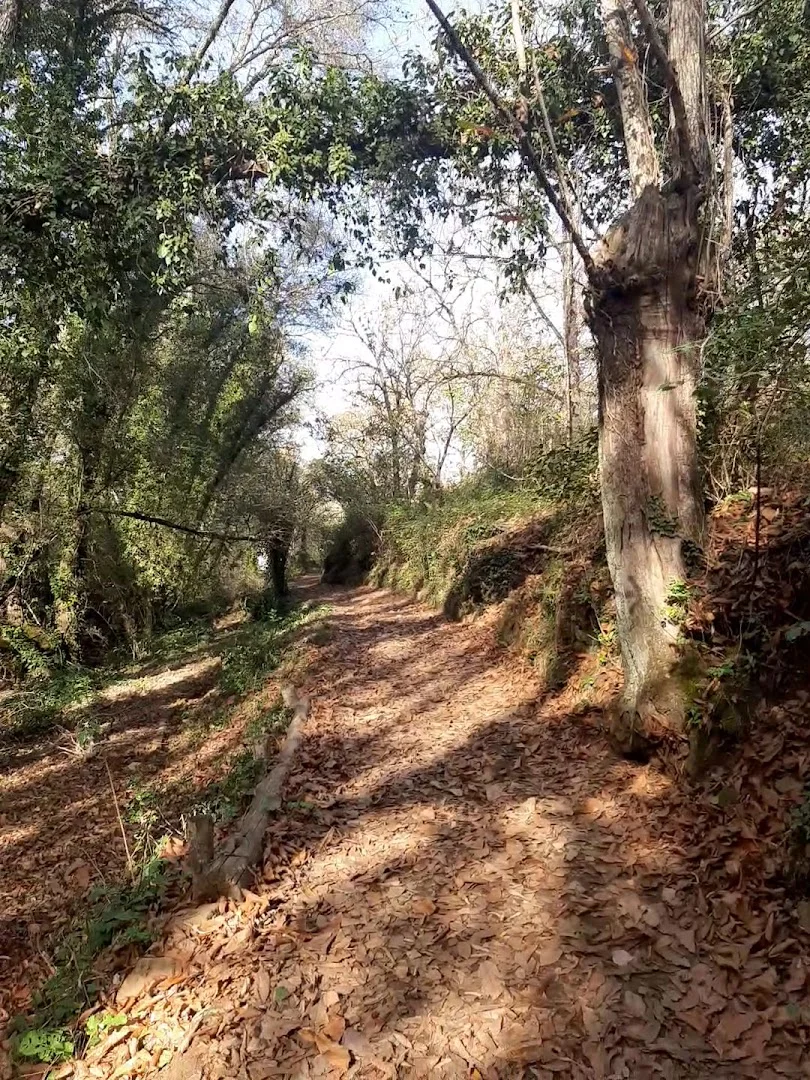 Foto 3 de Sendero Castaño de Robledo - Puente de los Casares
